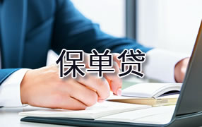 娄底保单贷