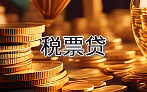 娄底税票贷